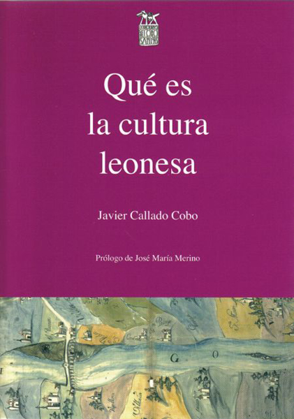 Javier Callado Cobo
