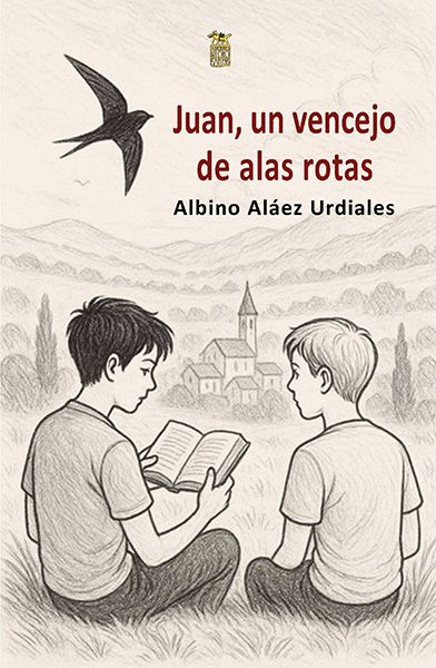 Imagen de Juan, un vencejo de las alas rotas